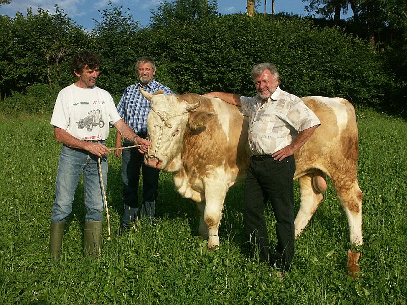 Siegerpreis