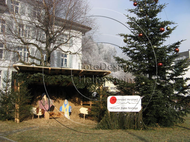 Bild des Monats Dezember 2007