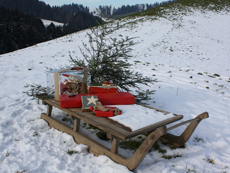 Beladener Holzschlitten