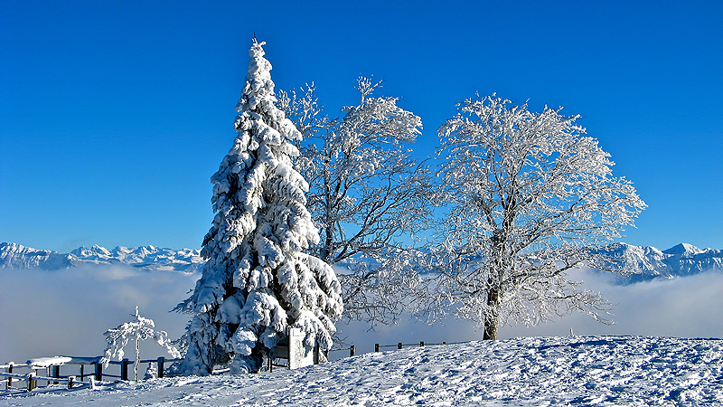 Fantastischer Winterzauber bei minus 13&deg; auf dem Napf