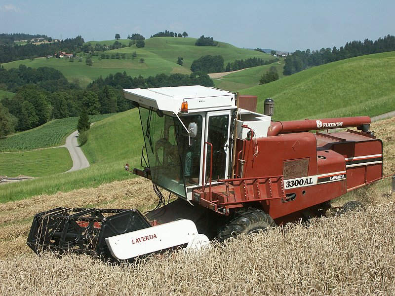 Armin Wermelinger mit dem M�hdrescher �Laverda 3300AL� auf Hof Ober-Sack im Einsatz. Diese Maschine mit 4-Seitenausgleich meistert problemlos H�nge mit bis zu 40 % Neigung. Im Hintergrund links der Buacher, rechts die M�risegg.